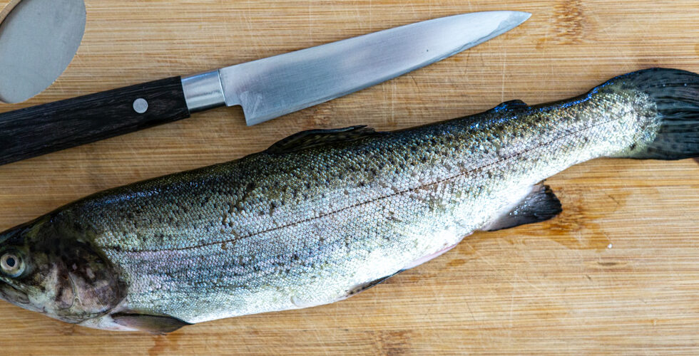 [Knowhow] Fisch roh essen FoodFreaks