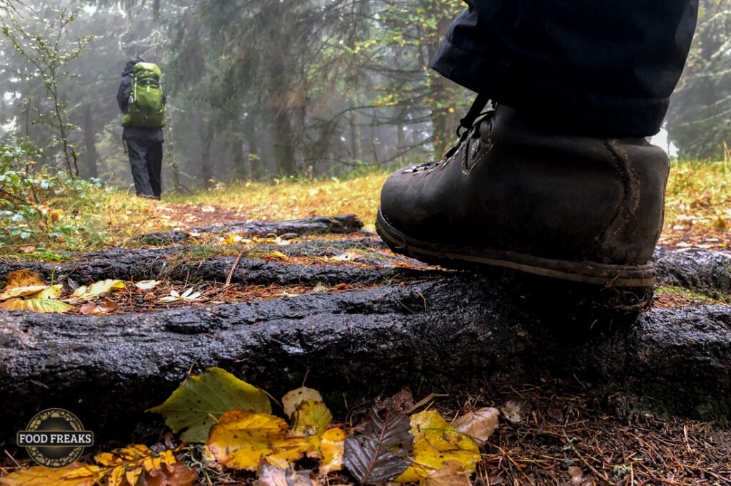 Unterwegs am Hartmannsweiler Kopf