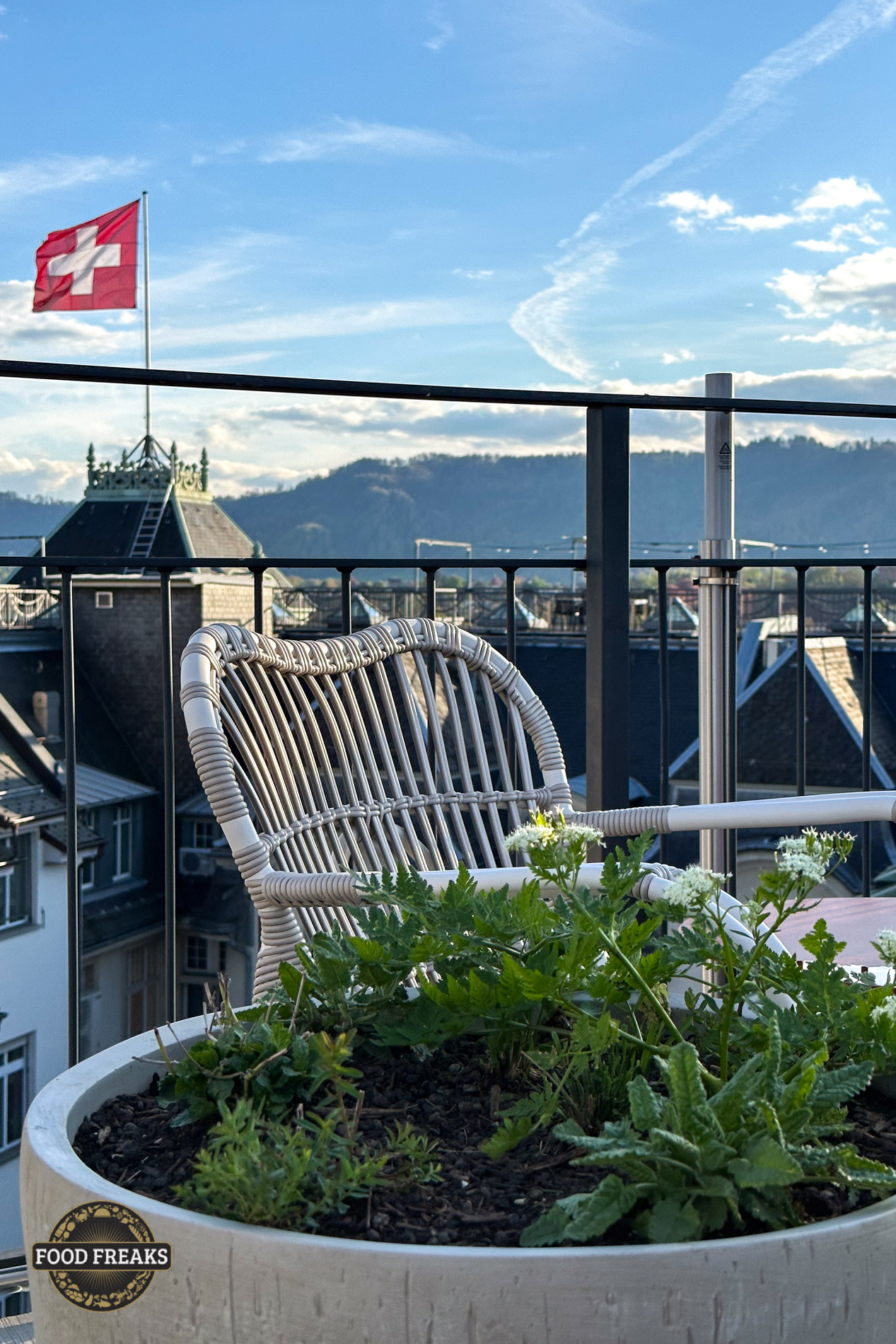 Ausblick von der Terrasse auf den Uetliberg mit Schweizer Fahne im Vordergrund