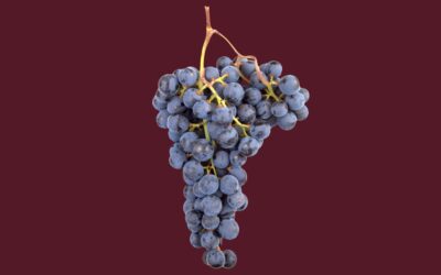 Route Gourmande 2026: 7 Restaurants in Solothurn erleben