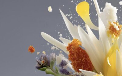 St. Moritz Gourmet Festival 2026: Sommer-Ausgabe im Engadin