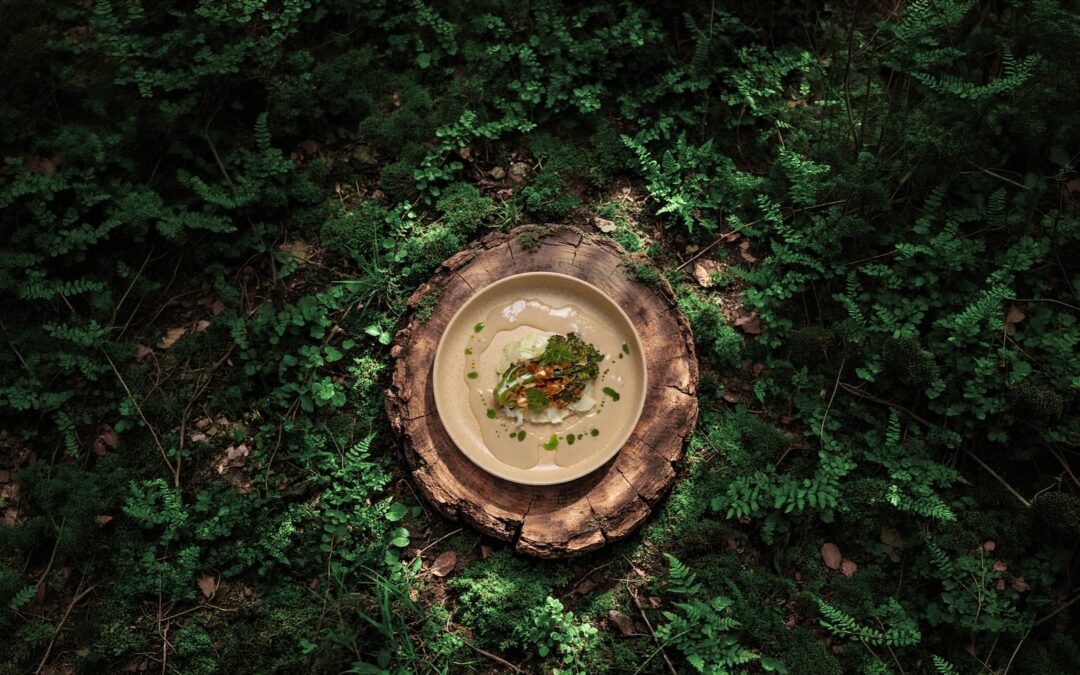 FoodLab 2026: Zürich entdeckt Wild Food